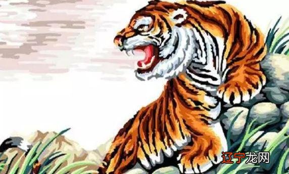 1962年是什么命五行 1962年的属虎的是什么命