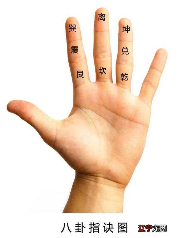 大林木命的人缺什么 缺五行会怎样