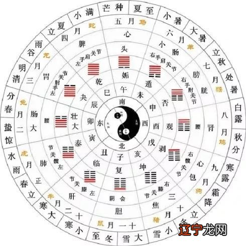 六爻金钱卦-起卦篇