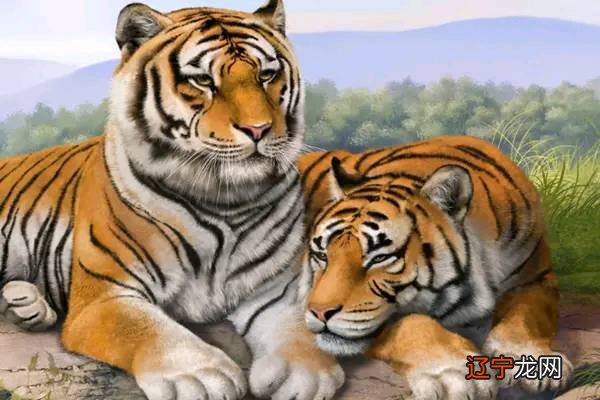 属虎的几月出生最好命 属虎的几月出生最好命