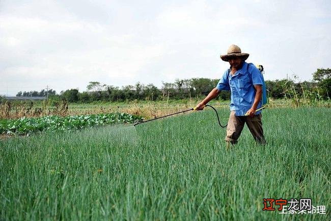 紫微斗数煞星入庙 命宫紫微星入庙