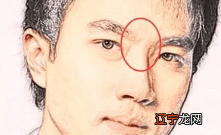 男的鹰钩鼻面相 鹰勾鼻子垂眼的男人面相