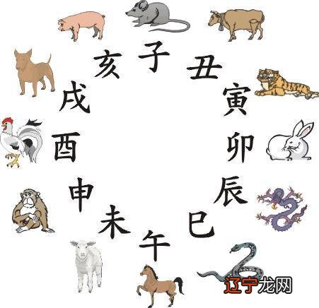 属猴的年份