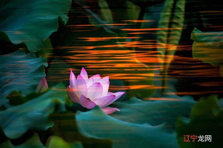 农历八字算命婚姻配对 免费八字婚姻年份配对