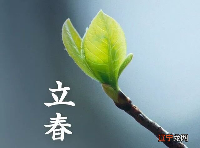 从立春日四柱看运势_曲炜四柱详真各章分看_四柱推命学看命辞典