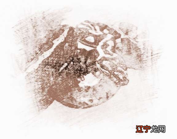 2015属蛇人全年运势