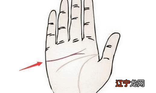 男人手相怎么看,是看左手还是右手