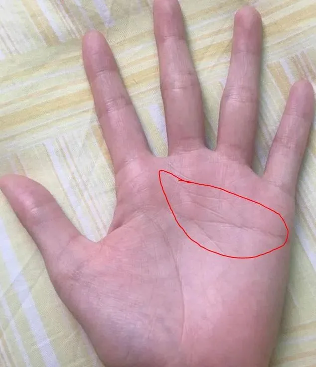 男人手相怎么看,是看左手还是右手