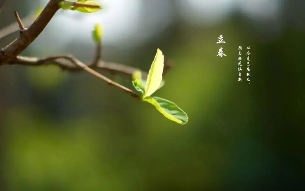 2018年立春是几月几日