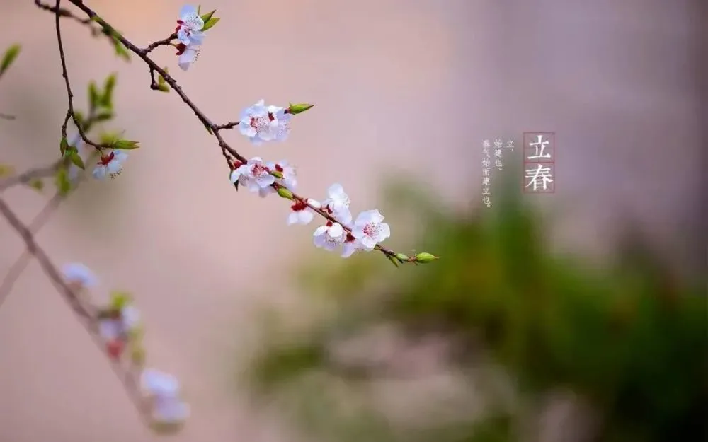 2018年立春是几月几日