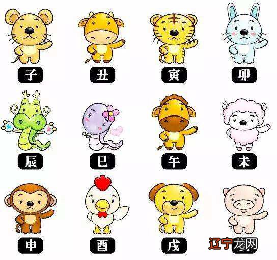 组图 是不是属猪的最佳婚配属相,你知道吗?