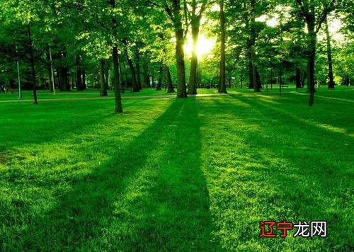 哪些八字格局算是上等的呢?真正格局高的八字