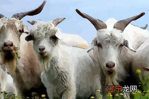 属羊人出生月的命运?运势怎么样?2020-01-07帝一术生肖