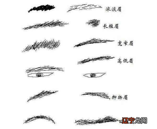 女人眉毛面相哪种眉毛最有福气