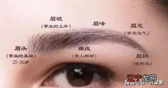 女人眉毛面相哪种眉毛最有福气
