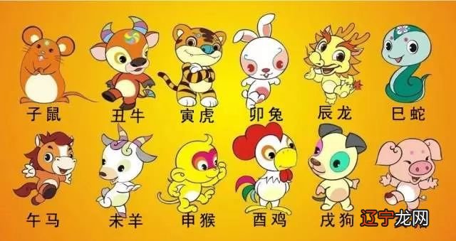 属相婚配,属兔的和什么属相最配