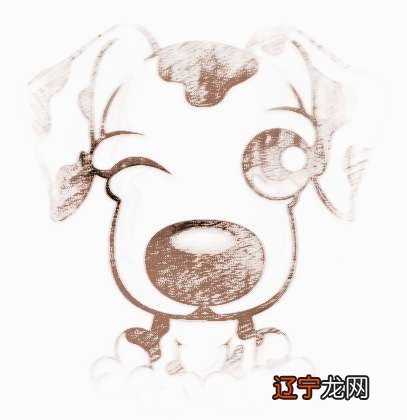 属狗的今年多大2017年