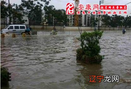 孕妇梦见下雨打伞走路_梦见晚上打伞_梦见下雨打伞