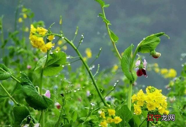 换一个角度看,星座代表着性格,它算是一种!