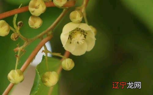 换一个角度看,星座代表着性格,它算是一种!