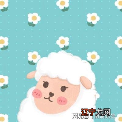 女属牛的最佳婚配属相_99年兔的最佳婚配属相_属兔女最佳婚配