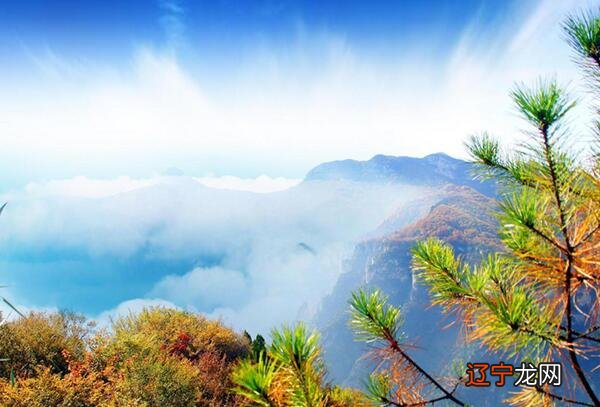 辛金命的最好出路:选对行业极为重要可创业或做金融