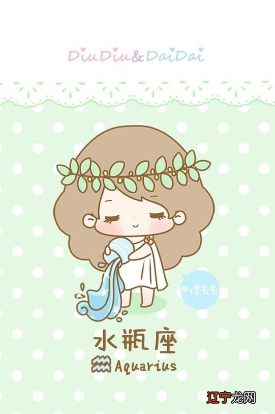 2017最新12星座之水瓶座全解