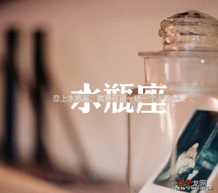 2017最新12星座之水瓶座全解