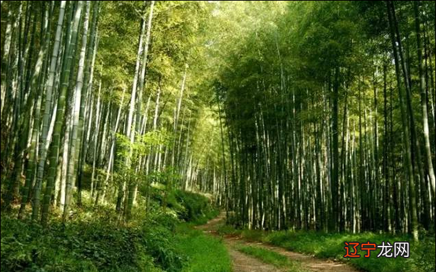 富贵人家会请有名望的风水术士来选地方吗?