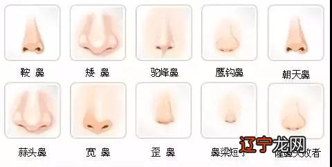 怎么看整容面相对个人的影响在家都知道在相学里