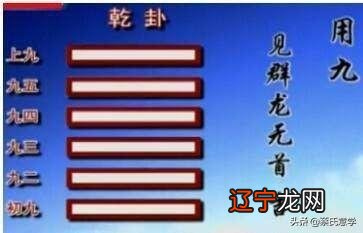 乾卦和坤卦在六爻之后都有一条说明,乾卦是用九