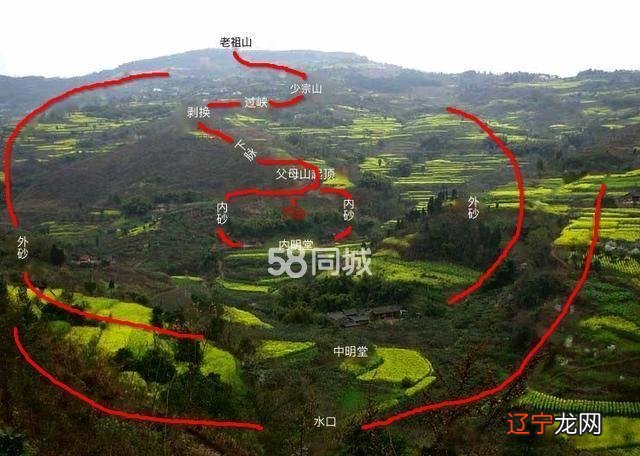 周易梅花数_金庸周易术数_王亭之周易象数例解