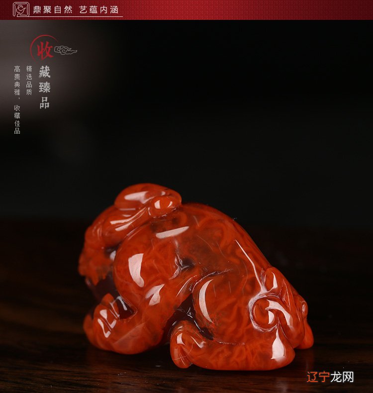 阳历12月7日是什么星座，很聪明喔！