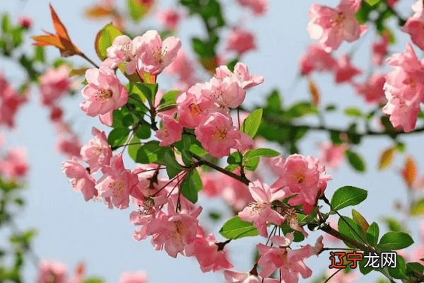 四月星座运程:射手座2021年4月运势要点