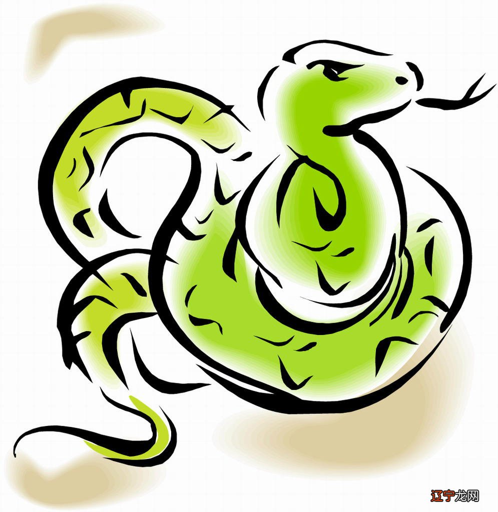 属蛇人平生的财运展望,辣么呢相辅相成的三大生肖