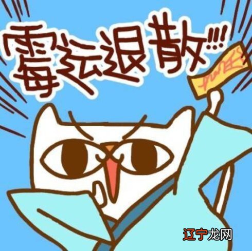 本部失运，猪怕壮，十年的好运好过，一年的败运难熬