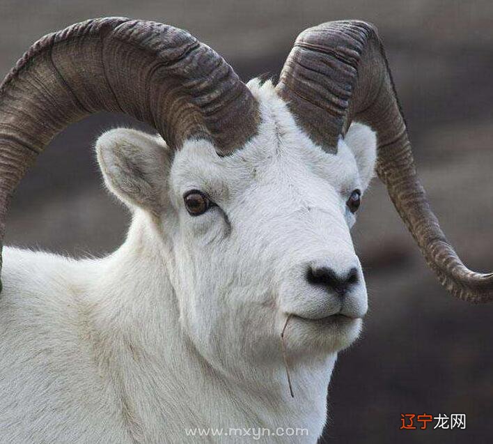 股票看前复权还是后复权_股票看周线用前复权还是后复权_看明年的运势年前还是年后