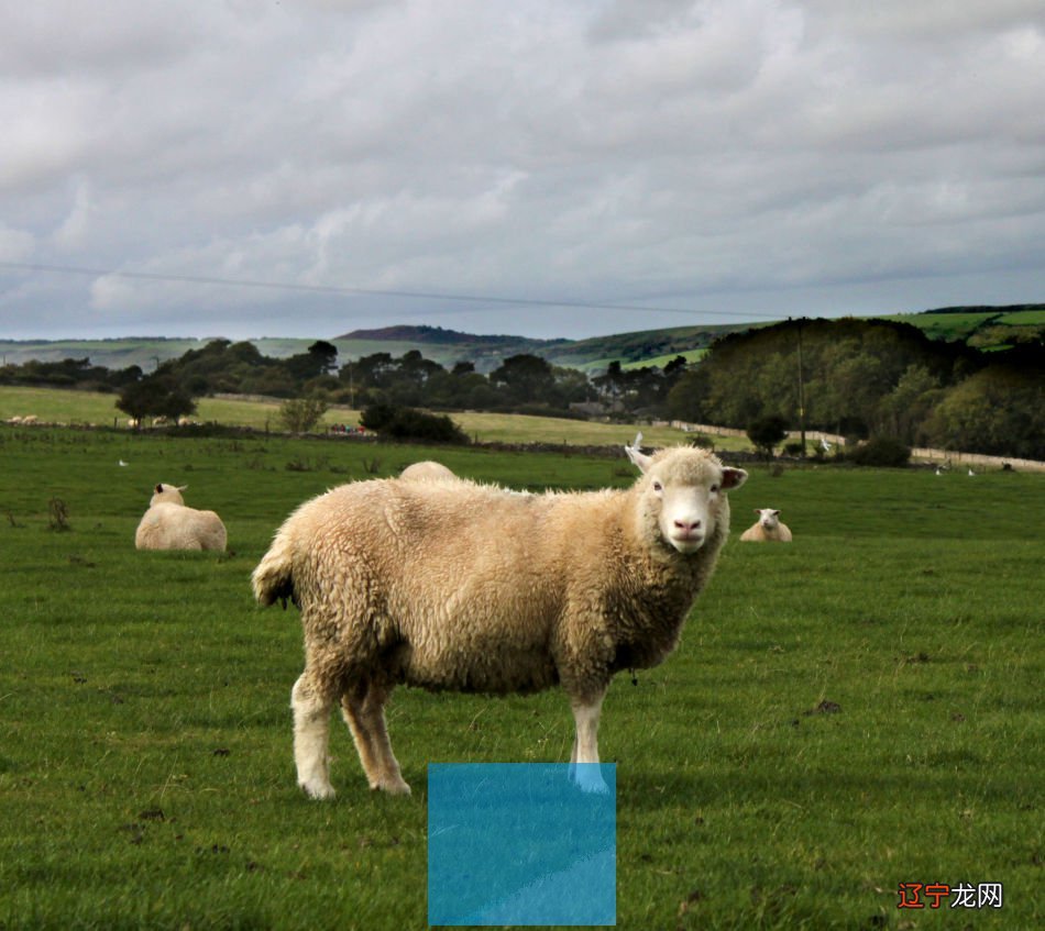 看明年的运势年前还是年后_股票看前复权还是后复权_股票看周线用前复权还是后复权