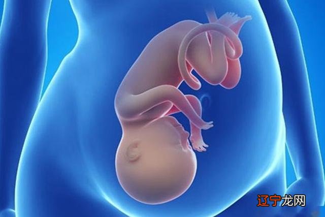 梦见母亲_梦见母亲死了_梦见两个母亲