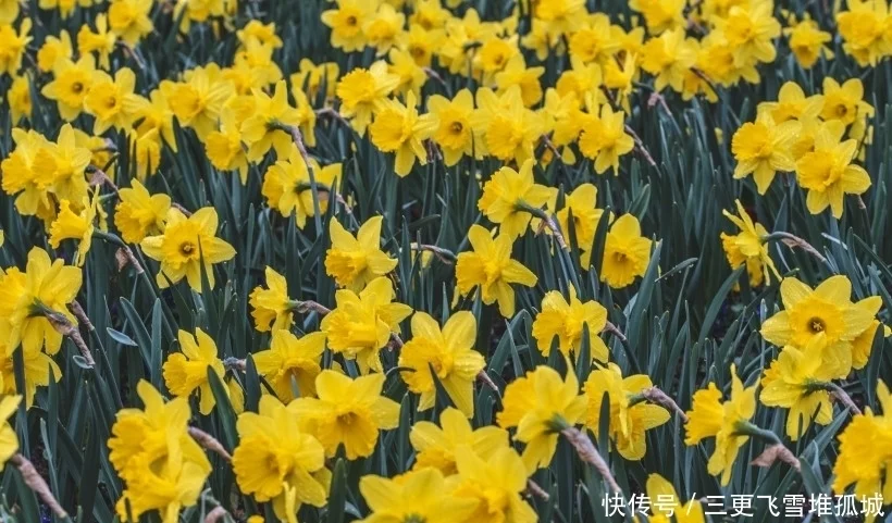 在1月底,前任醒悟,缘分相助,大胆牵手真爱的4大星座