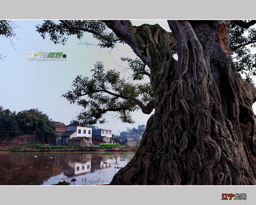 达达风水堂:建房子有什么风水讲究