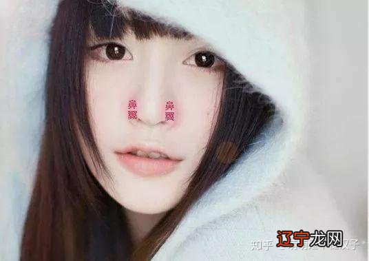 十五种鼻型,你属于哪一种?