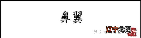 十五种鼻型,你属于哪一种?