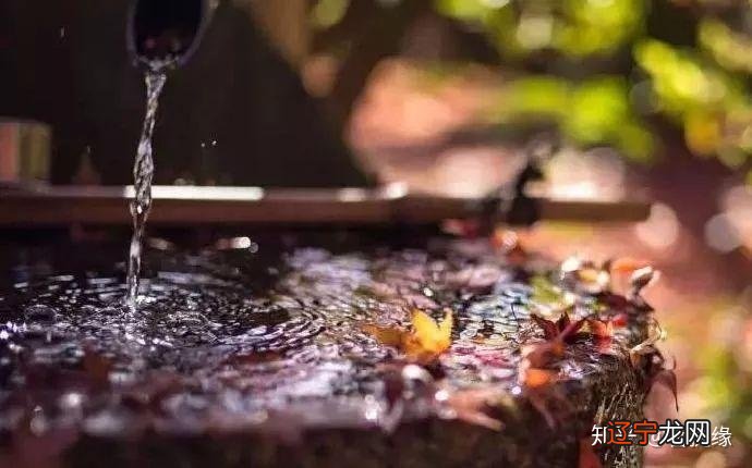 从宽厚的人多半一脸，看你的容颜来自善良的性情