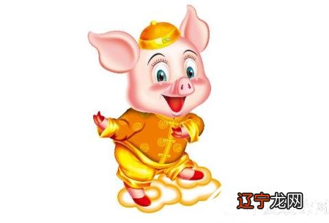 属猪的属相婚配表 属猪和什么生肖最配