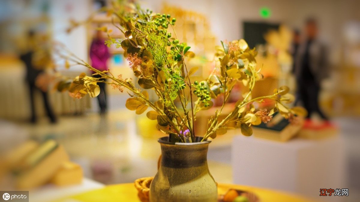 刘老师，什么是最好的风水啊？我们买了房子你能帮我们去看看风水吗？