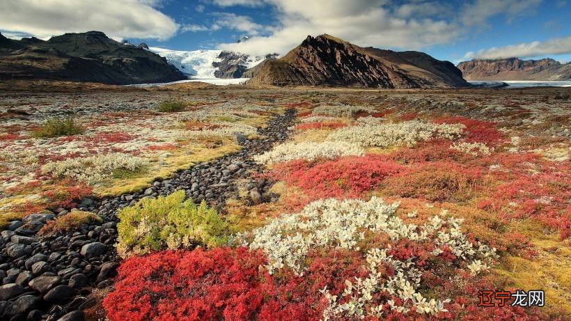 好的婚姻,灵魂一生相配!最佳婚配的5对生肖,你们上榜了吗