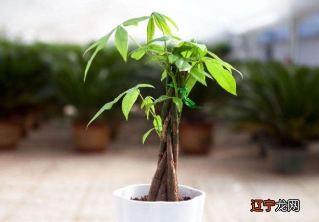 这九大住宅风水原则，让你越住越富有！