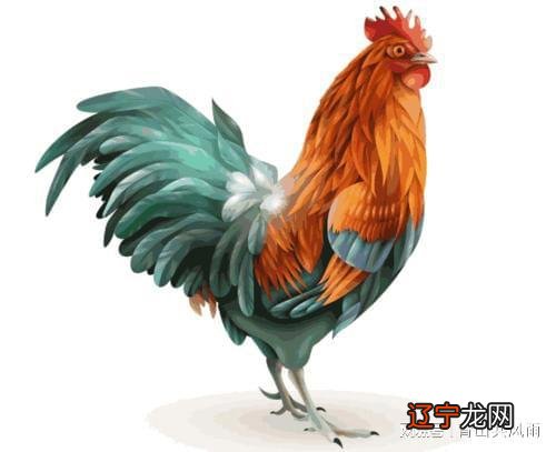 2018年属鸡的今年多大了