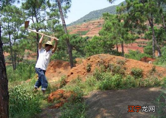 “坟前生洞子孙穷，坟后三物变富人”是什么意思？